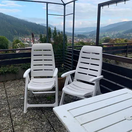 Appartement Mit Herrlicher Aussicht Uebers Murgtal Baiersbronn Exterior photo