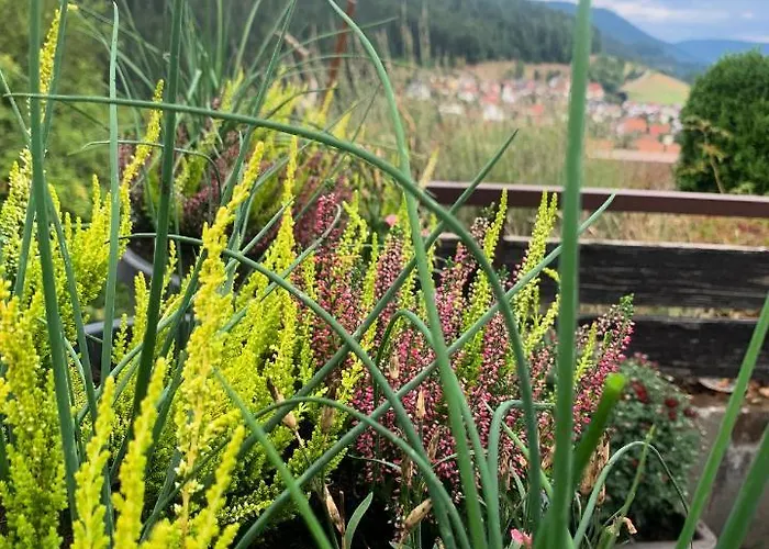 Appartement Mit Herrlicher Aussicht Uebers Murgtal