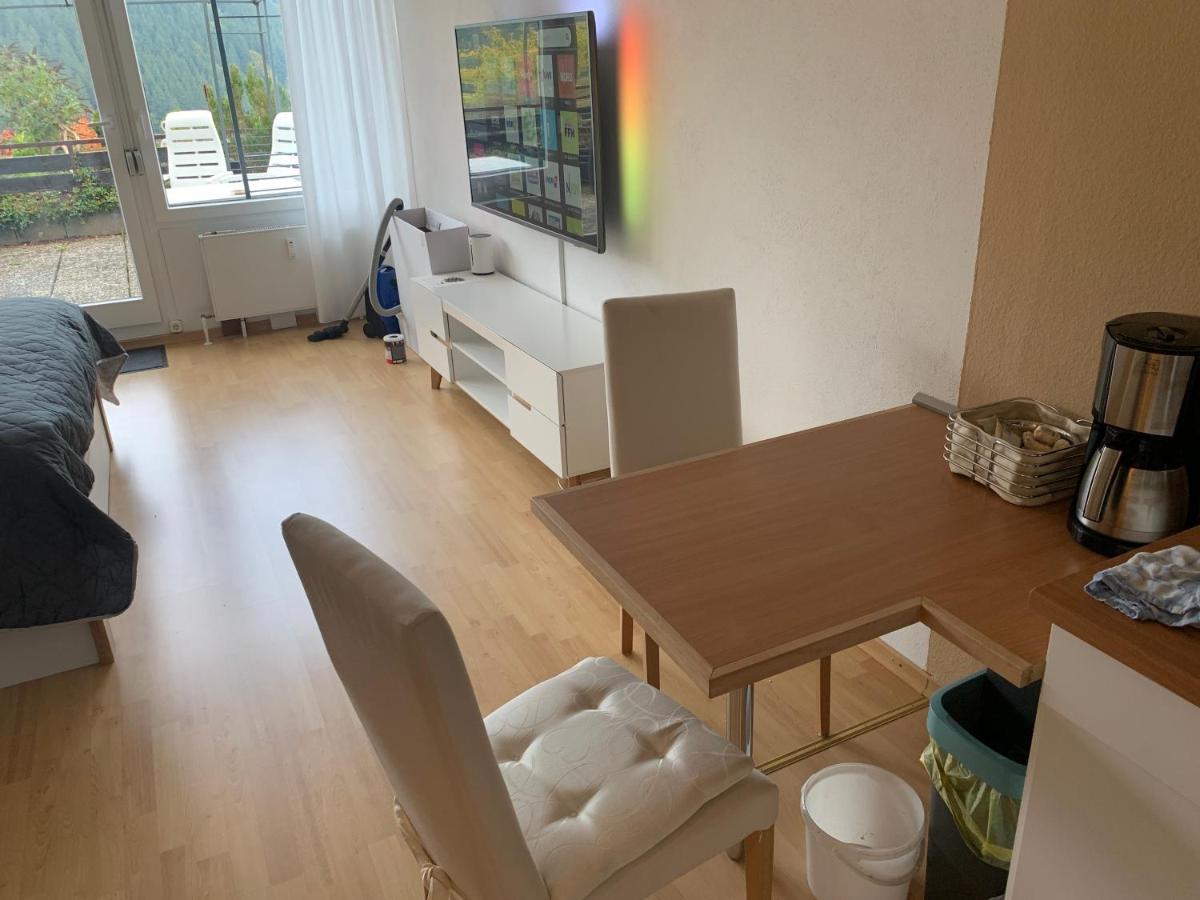 Apartment Mit Herrlicher Aussicht Uebers Murgtal Baiersbronn