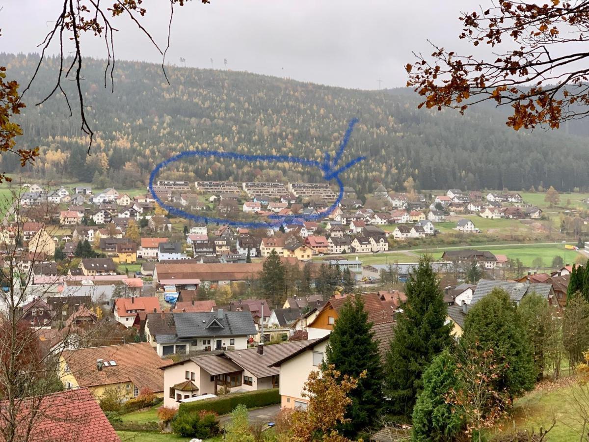 Apartment Mit Herrlicher Aussicht Uebers Murgtal Baiersbronn