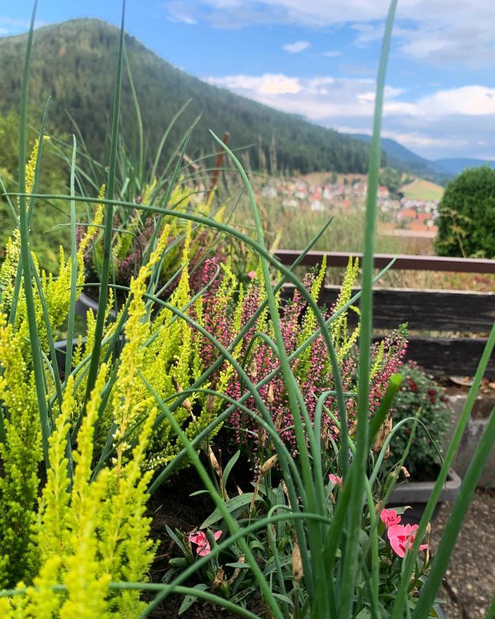 Apartment Mit Herrlicher Aussicht Uebers Murgtal *